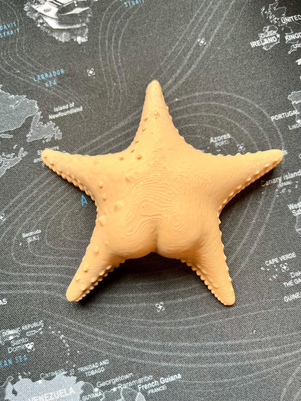 Big Booty Starfish Fridge Magnet 36+ Colours