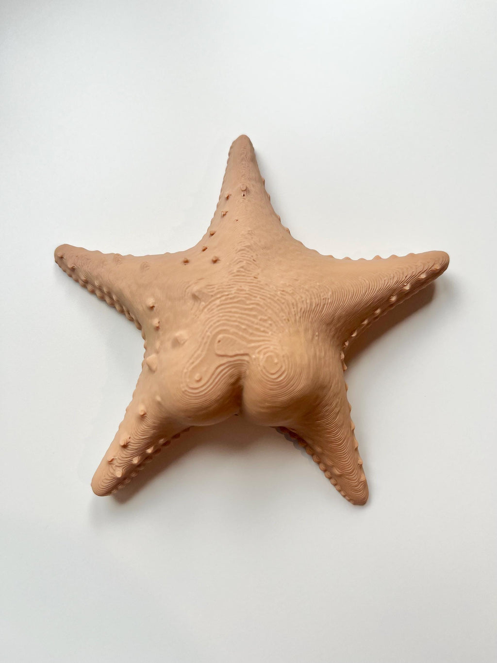 Big Booty Starfish Fridge Magnet 36+ Colours