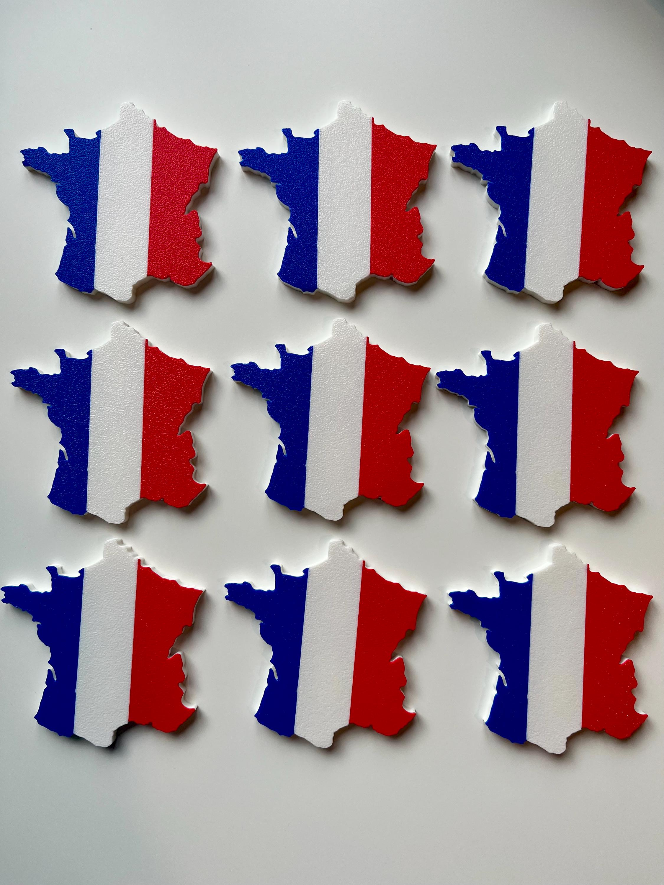 France Flag Fridge Magnet.