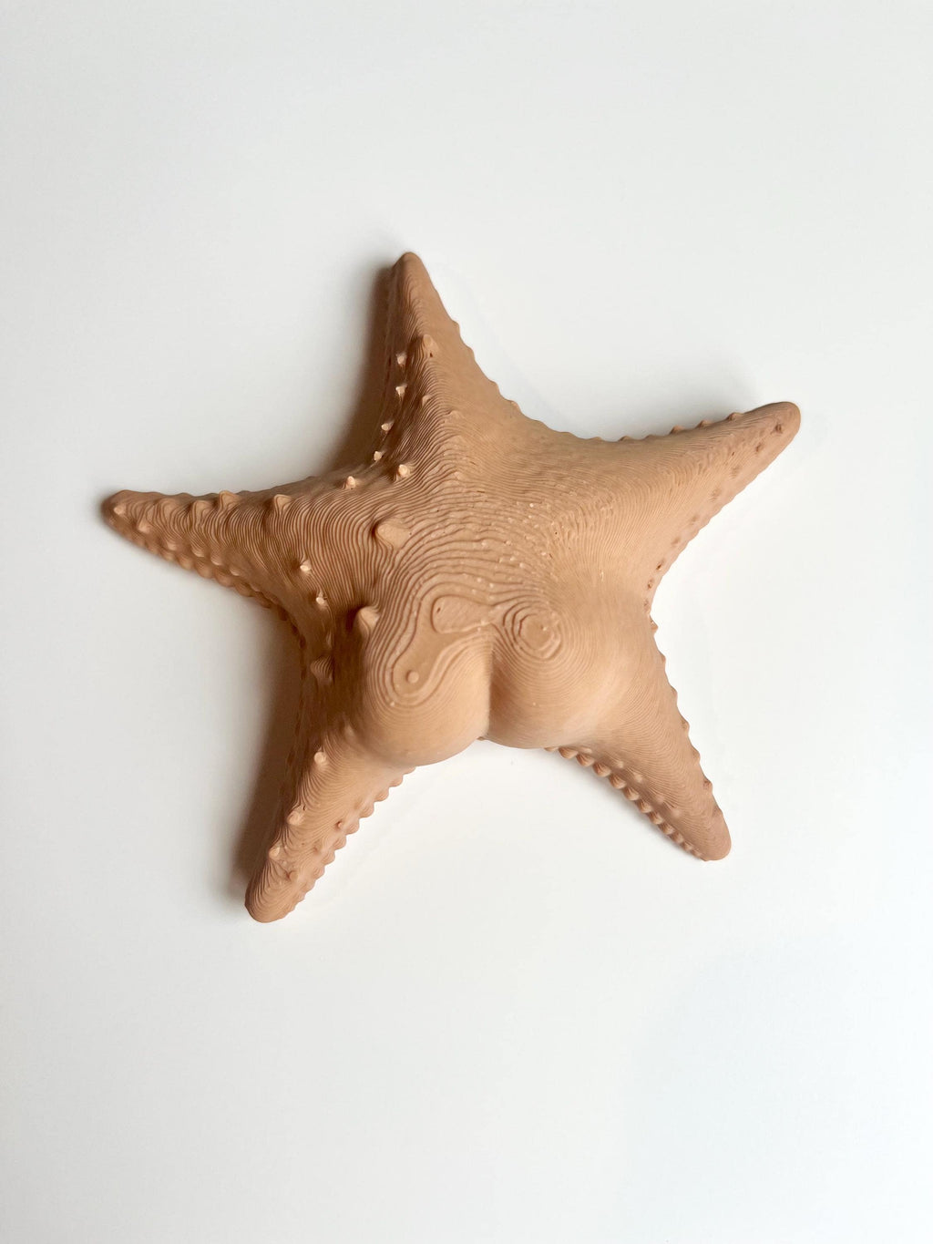 Big Booty Starfish Fridge Magnet 36+ Colours